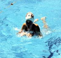 Mount Gambier Aquatic Centre - Attractions
