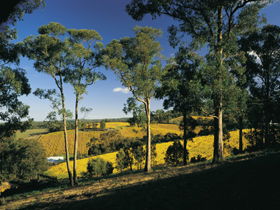 Lobethal SA Attractions