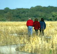 Onkaparinga River Recreation Park - Attractions