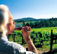 Ashton Hills Vineyard - Attractions