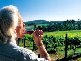 Ashton Hills Vineyard - Attractions 0