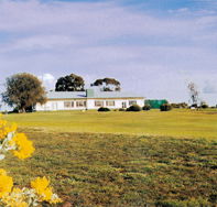 Lucindale Country Club - Attractions