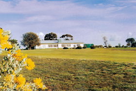 Lucindale Country Club - Attractions 0