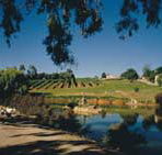 Mount Hurtle Winery home of Geoff Merrill Wines - Attractions