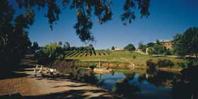 Mount Hurtle Winery Home Of Geoff Merrill Wines - Attractions 0