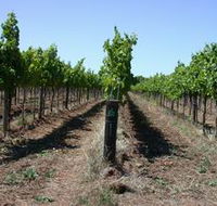 Temple Bruer Winery - Attractions
