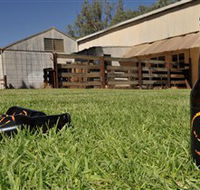 Wilkadene Woolshed Brewery - Attractions