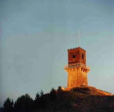 Centenary Tower - Attractions 0
