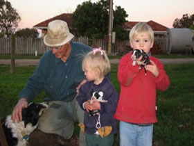 Orrie Cowie Merino And Poll Merino Stud - Attractions 0