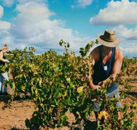Torbreck Vintners - Attractions