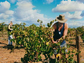 Torbreck Vintners - Attractions 0
