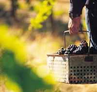 Burge Family Winemakers - Attractions