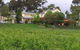 Horndale Distillery And Wine Cellars - thumb 0