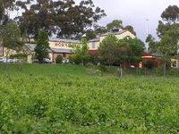 Horndale Distillery and Wine Cellars