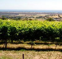 Braydun Hill Vineyard - Attractions