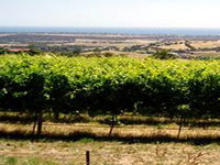 Book Hackham Accommodation Vacations See Attractions See Attractions