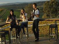 The Lane Vineyard