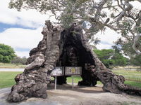 Book Springton Accommodation Vacations Attractions Attractions