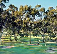 Tanunda Pines Golf Club - Attractions
