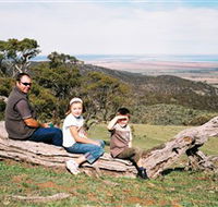 Bridle Track - Attractions