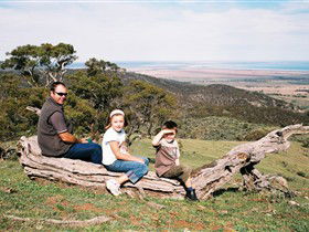 Bridle Track - Attractions 0