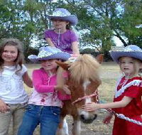 Amberainbow Pony Rides - Attractions