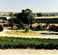 Irvine Wines - Attractions