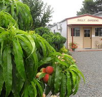 Gully Gardens - Attractions