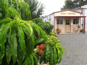 Gully Gardens - Attractions 0