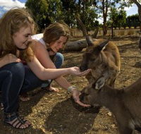 Kangaroo Island Wildlife Park - Attractions