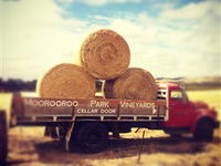 Moorooroo Park Vineyards