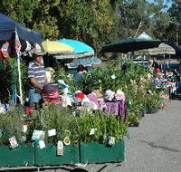 Meadows Monthly Market - Attractions