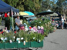 Meadows Monthly Market - Attractions 0