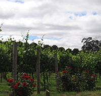 Manyara Vineyard - Attractions
