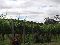 Book Balhannah Accommodation Vacations Attractions Attractions
