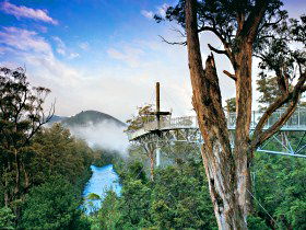 Tahune Adventures Tasmania - Attractions 0