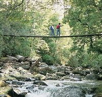 Arve Forest Drive - Attractions