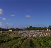 Deep Creek Wines and Alpacas - Attractions