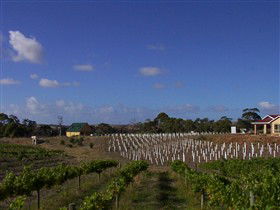 Deep Creek Wines And Alpacas - Attractions 0