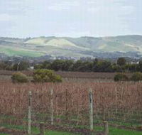 Mclaren Vale Premium Wines - Attractions