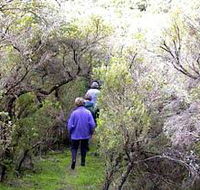 Jack And Hilda McArthur Walk - Attractions