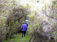 Jack And Hilda McArthur Walk