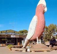 The Big Galah - Attractions