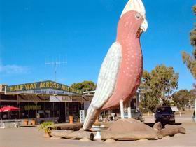The Big Galah - Attractions 0