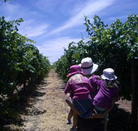 McLaren Vale Orchards - Attractions