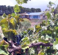Zimmermann Wine - Attractions