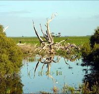 Bool Lagoon Game Reserve and Hacks Lagoon Conservation Park - Attractions