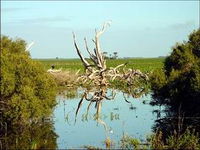 Bool Lagoon Game Reserve and Hacks Lagoon Conservation Park