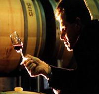 Salena Estate Wines - Attractions