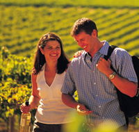 Tinlins Wines Pty Ltd - Attractions